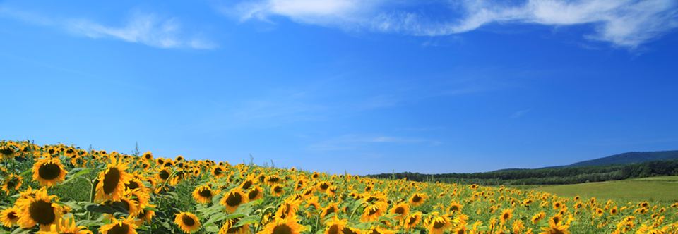 Interstital Cystitis